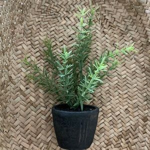 Hearth & Hand Faux Mini Rosemary Plant ~